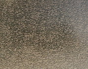 ��� ����������� elephant skin